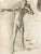 Academic Male Figure Study and Seated Male Nude* Brown, c. 1915 This pair of academic male nude studies by Brown presents...