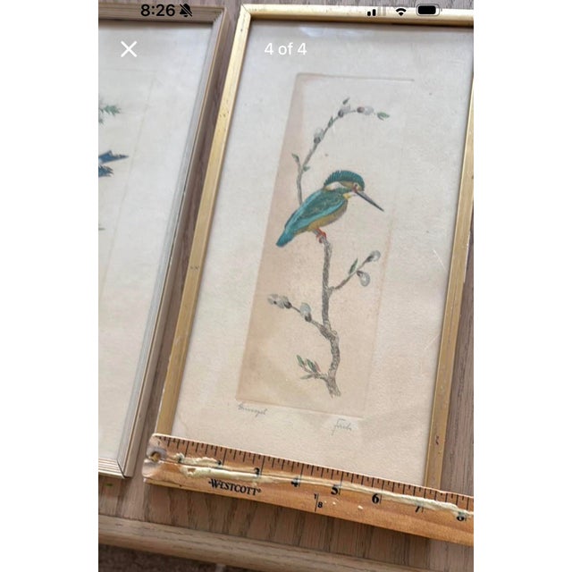 Vintage Framed Bird Prints – Pair | European Style Nature Art For Sale - Image 4 of 4