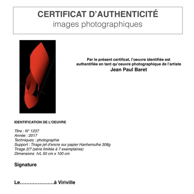 Contemporary Jean-Paul Baret, 1237, 2018, Inkjet Print For Sale - Image 3 of 4