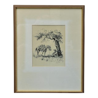 Olaf Wieghorst (1899 - 1988) Orig. Cowboy and Horse Pen & Ink Drawing, Ex- Maxwell Galleries, Framed For Sale