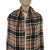 English Burberry Light Brown Plaid 100% Wool Scarf For Sale - Image 3 of 10