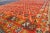 Mid 20th Century Mid 20th Century Orange and Red Background Vintage Moroccan Rug With All-Over Diamond Pattern For Sale - Image 5 of 7