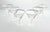 American 1950s Fostoria “Bridal Belle” Set of 6 Coupe Champagne Glasses For Sale - Image 3 of 6
