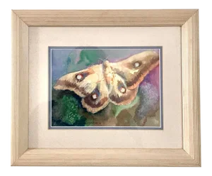 Butterfly Framed Watercolor Painting, Signed Original
