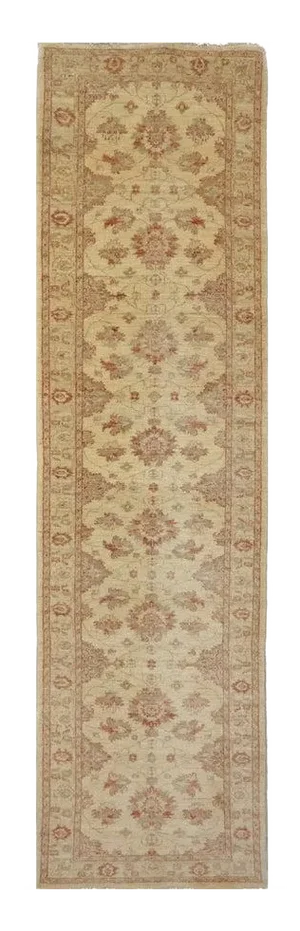 1990s Handwoven Pakistani Runner Rug 3x11