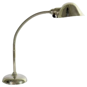 Industrial Goose Neck Table Lamp, 1930s