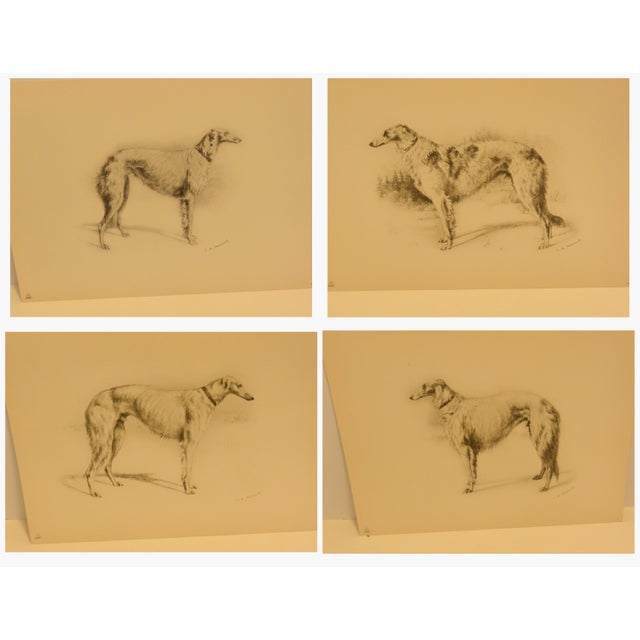 Rare 1934 Limited Edition Borzoi Portfolio: 28 Lithographs For Sale - Image 11 of 15
