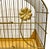 Vintage 1950s Hollywood Regency Gold Metal Bird Cage With Floral Accents For Sale In Louisville - Image 6 of 10