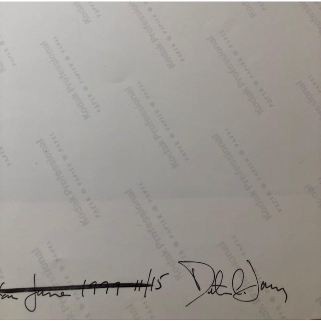 Peter C. Jones 1, Beach Through Screen, Large Format Photo 24X20 Color Photograph Beach House RI, 1999 For Sale - Image 4 of 5