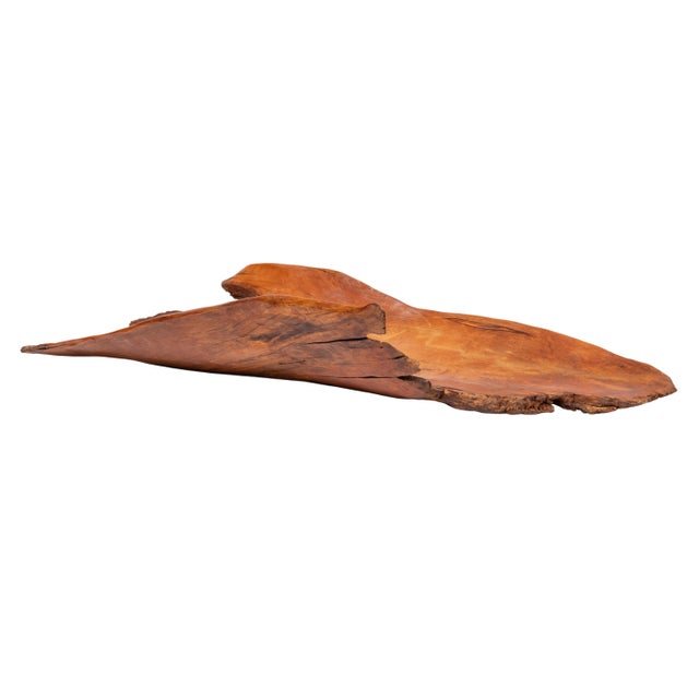Wood Large Hand-Turned Birch Fruit Bowl, Alaska, 1970s For Sale - Image 7 of 12
