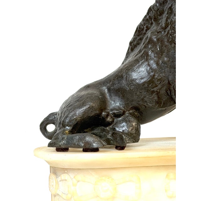 Grand Tour Bronze Reduction Il Porcellino “Borghese Boar” Carved Alabaster Base For Sale - Image 12 of 18