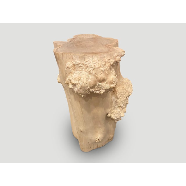 Andrianna Shamaris Rare Bleached Teak Root Pedestal For Sale - Image 14 of 18