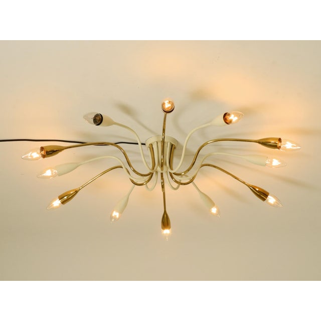 Large Mid-Century Modern Brass Sputnik Ceiling Lamp with 12 Arms, 1950s For Sale - Image 10 of 18