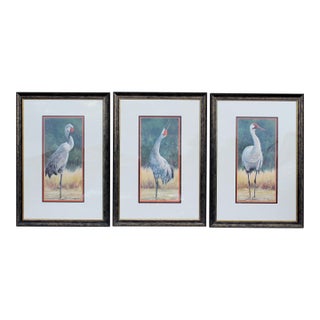 1990s Mary Erickson Signed Crane Print Set – Sandhill Crane I, Sandhill Crane II & Whooping Crane – Framed Coastal Wildlife Art (Set of 3) For Sale