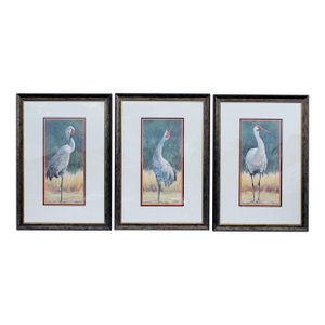 1990s Mary Erickson Signed Crane Print Set – Sandhill Crane I, Sandhill Crane II & Whooping Crane – Framed Coastal Wildlife Art (Set of 3)
