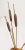 Mid 20th Century Brass Cattails Mid Century Rock Decor For Sale - Image 5 of 11