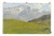 Eugenio Spreafico, Alpine View with Cows, Oil Canvas For Sale