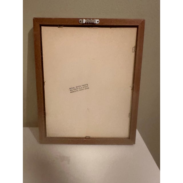 Vintage Seashell Print, Framed For Sale In Charleston - Image 6 of 6