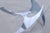 1960s Mid-Century Aluminum Coffee Table by Knut Hesterberg for Ronald Schmitt For Sale - Image 5 of 13