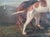 Antique 19th Century Oil Painting Portrait of Two English Pointer Dogs For Sale - Image 17 of 17