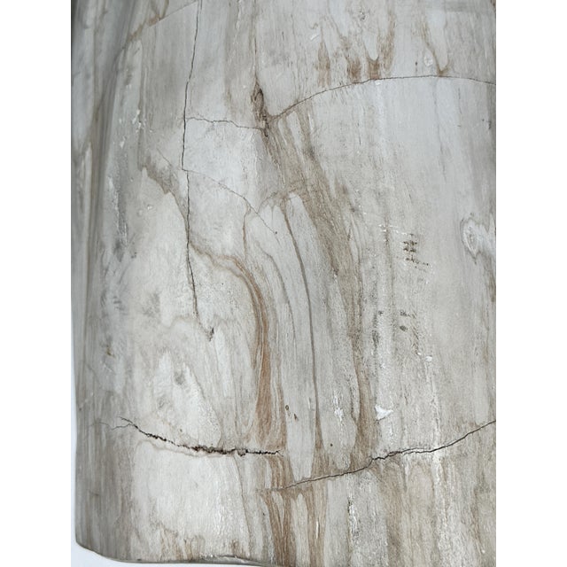 Side Table in Petrified Wood For Sale - Image 4 of 18