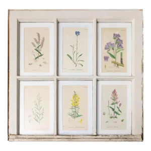 Antique Arts and Crafts Window Sashes With 19th Century Botanicals