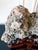 Chinese Rare Chinese Kun Scholar Stone on Display Stand For Sale - Image 3 of 18