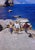 Lobster and Crab Catch by Toni Frissell Local fisherman carry their fresh catch of Lobsters and Crab from sea. (Photo by...