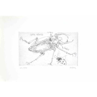 Sergio Barletta, Insect, Etching, 1974 For Sale