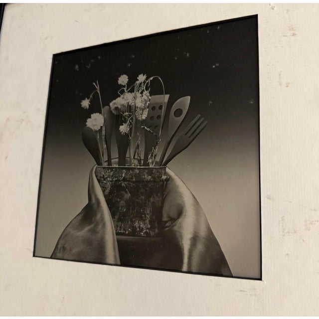 Abstract Len Prince 1990s Original Two-Toned Photograph For Sale - Image 3 of 5