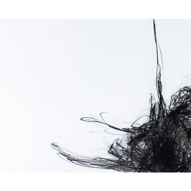 This series of drawings deals with memories. I use a somewhat random but purposeful fluidity to create these fantastical...