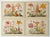 2020s Set of 4 Botanical Prints — Hortus Floridus Style Flowers, Unframed For Sale - Image 5 of 9
