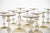 Champagne Glasses in Gold and Smoke from Cenedese, 1950s, Set of 12 For Sale - Image 16 of 18