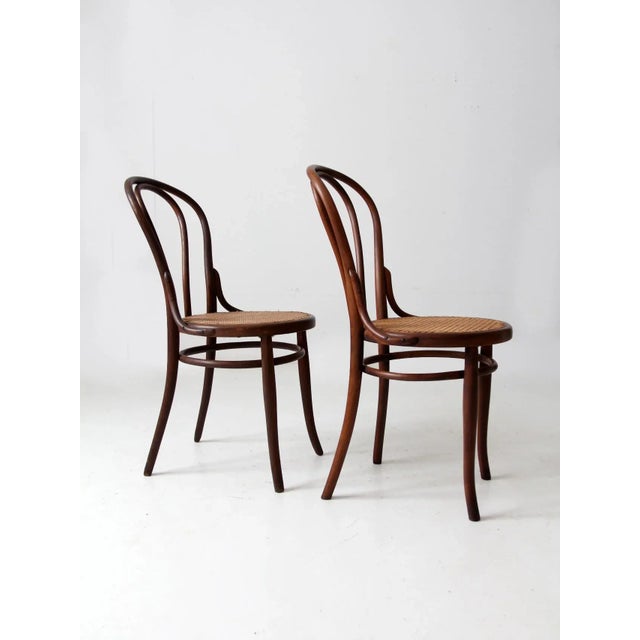 Early 20th Century Antique Jacob & Josef Kohn Bentwood Chairs Pair For Sale - Image 5 of 12