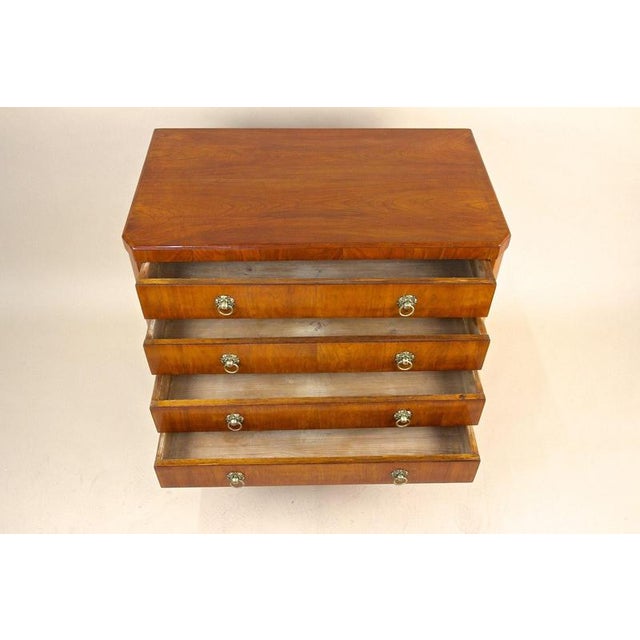 19th Century Austrian Biedermeier Cherrywood Chest of Drawers, 1830s For Sale - Image 5 of 15