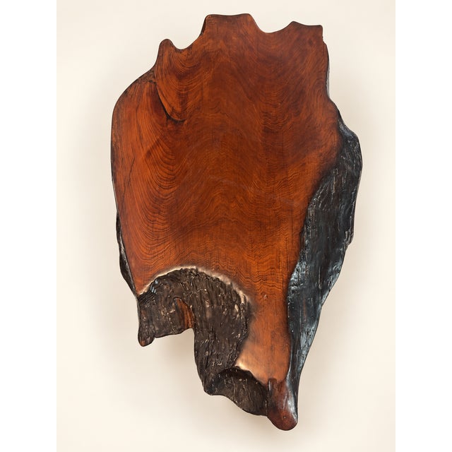 Vintage Organic Modern Redwood Burl Coffee Table For Sale - Image 4 of 7