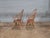 Richard Dimes Company Pair of Late 20th Century d.r. Dimes Sack Back Windsor Arm Chairs Bench Made For Sale - Image 4 of 7