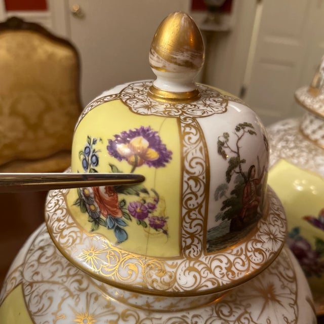 Late 19th Century Impressive Large Pair of Dresden Lidded Jars - Helena Wolfsohn For Sale - Image 6 of 11