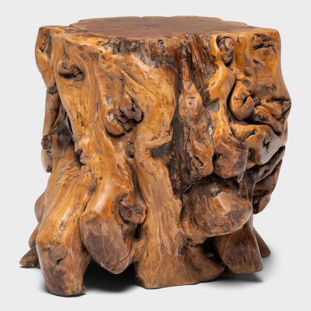 Contemporary Chinese Rootwood Side Table For Sale - Image 3 of 5
