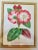 Set of 4 Original 19th-Century L’Illustration Horticole Botanical Chromolithographs by P. De Pannemaecker For Sale - Image 4 of 12