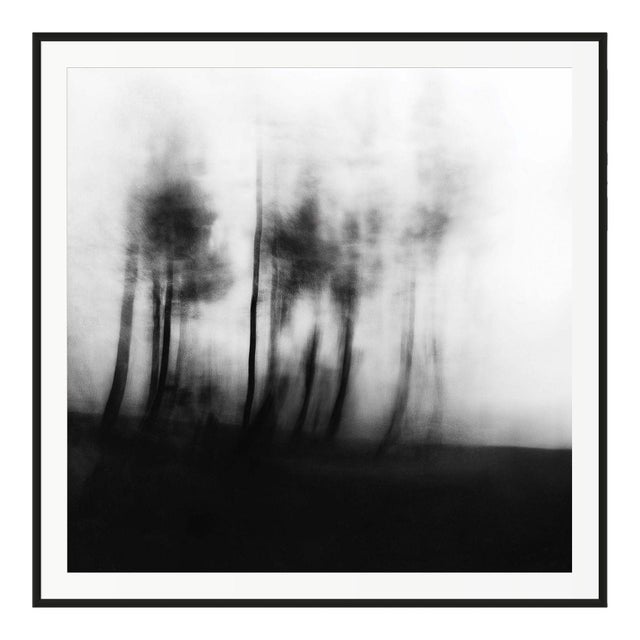 20" X 20" 'Blurred Landscape' #3 Black and White Photography For Sale