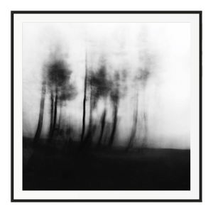 20" X 20" 'Blurred Landscape' #3 Black and White Photography