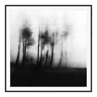 Blurred Landscape No. 3 Black and White Photography For Sale