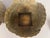 Pair of 1970s Hollywood Regency Brass Seashell Planters For Sale - Image 9 of 11