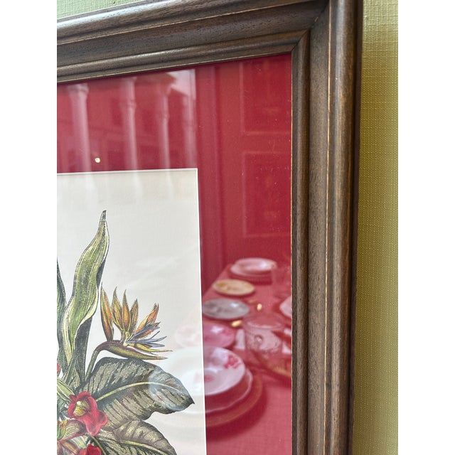 Early 21st Century Serafini, Untitled, Paper, Framed, Set of 2 For Sale - Image 5 of 7