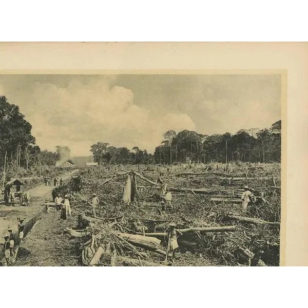 Kleynenberg, Felling Timber, 1910, Paper For Sale - Image 3 of 6