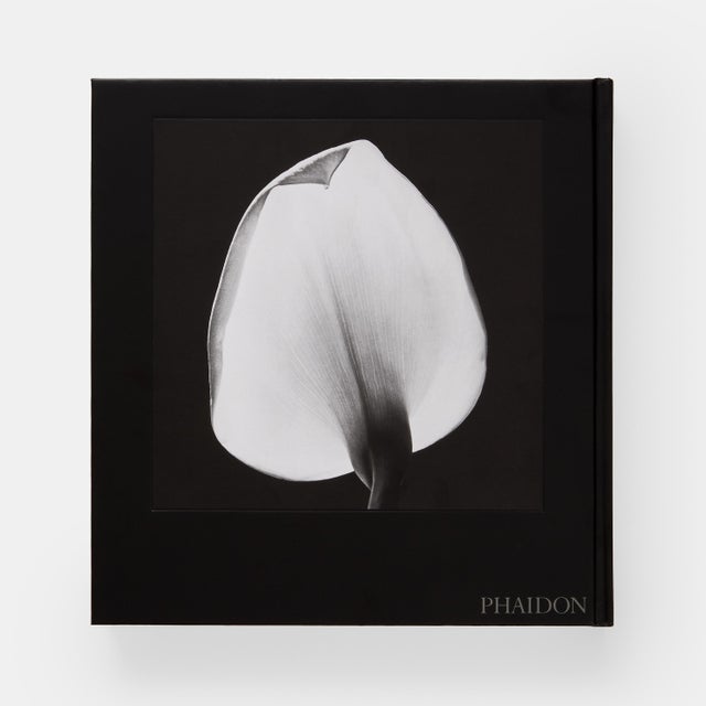 Mapplethorpe Flora Book For Sale - Image 4 of 10