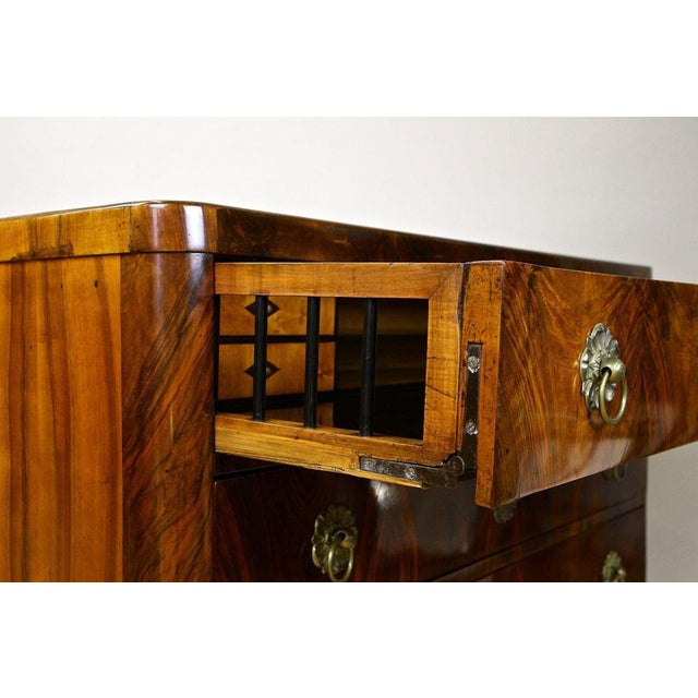 19th Century Biedermeier Chest of Drawers, Austria, 1830s For Sale - Image 9 of 18