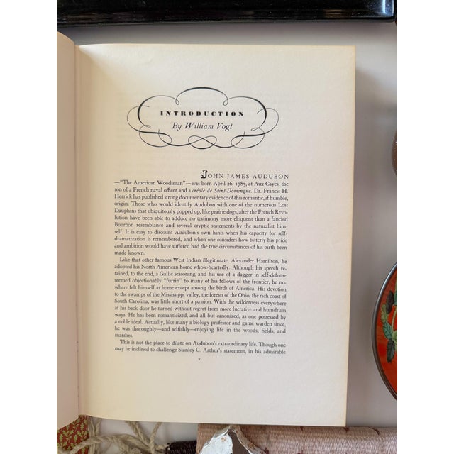 Paper The Birds of America John James Audubon Book, 1971 Edition For Sale - Image 7 of 11