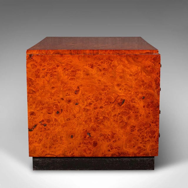 1930's Vintage Specimen Collector's Chest of Drawers For Sale - Image 4 of 8